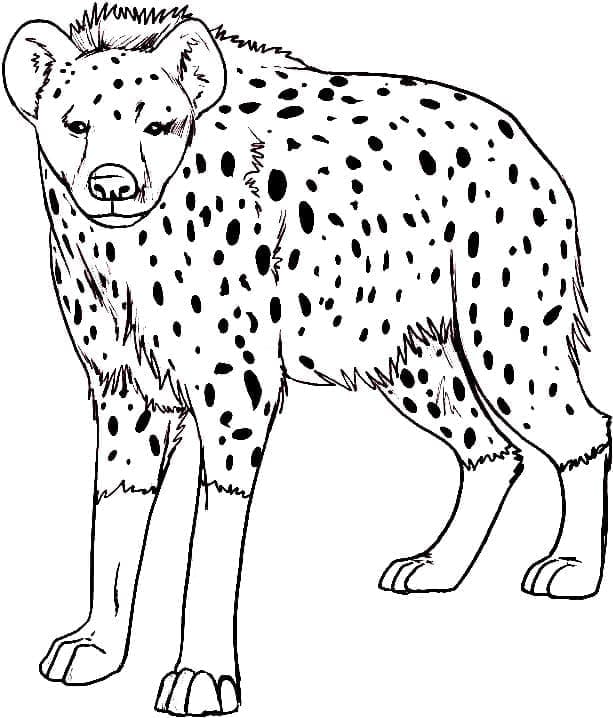Dibujo gratuito Hiena #186929 de la coleccion Animales para imprimir