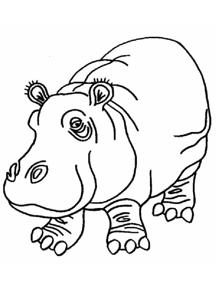 Dibujo gratuito Hipopótamo #188997 de la coleccion Animales para imprimir Dibujo gratuito Hipopótamo #188997 de la coleccion Animales para imprimir