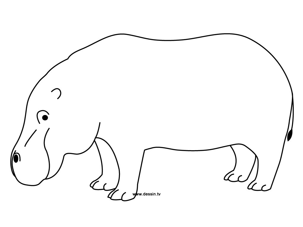 Dibujo para colorear: Hipopótamo (Animales) #8658 - Dibujos para Colorear e Imprimir Gratis