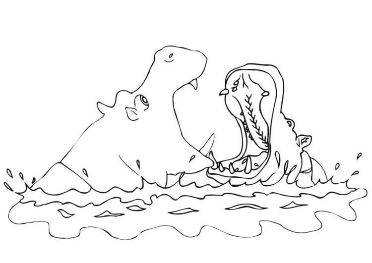 Dibujo para colorear: Hipopótamo (Animales) #8697 - Dibujos para Colorear e Imprimir Gratis
