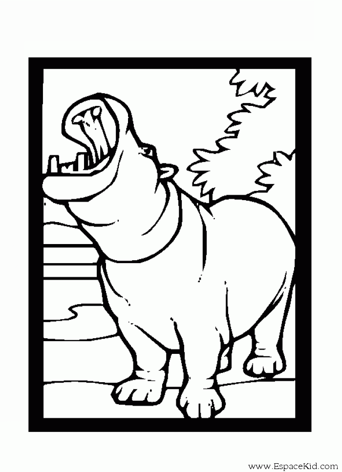 Dibujo para colorear: Hipopótamo (Animales) #8704 - Dibujos para Colorear e Imprimir Gratis