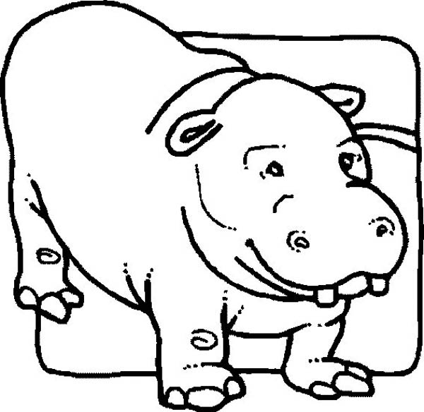 Dibujo para colorear: Hipopótamo (Animales) #8770 - Dibujos para Colorear e Imprimir Gratis