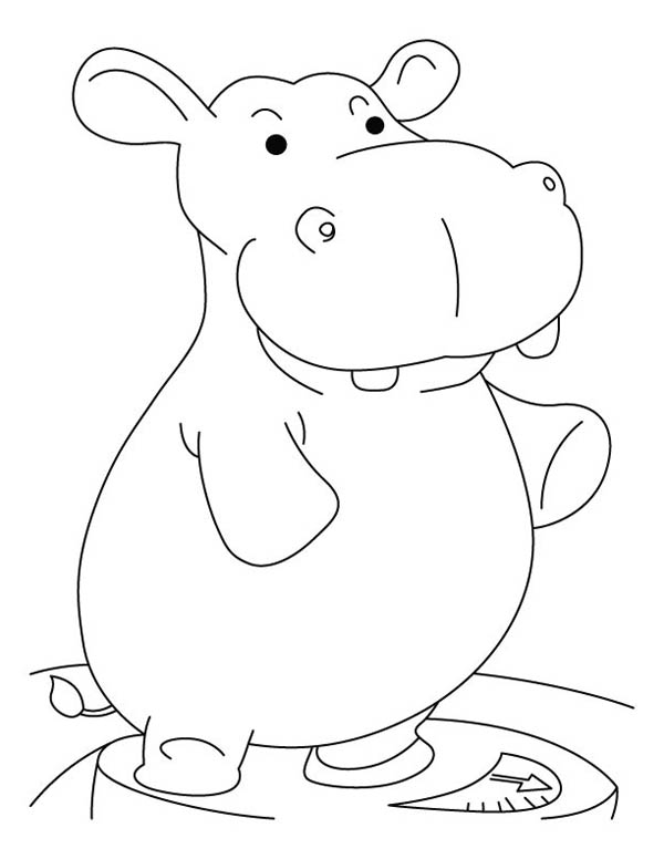 Dibujo para colorear: Hipopótamo (Animales) #8799 - Dibujos para Colorear e Imprimir Gratis