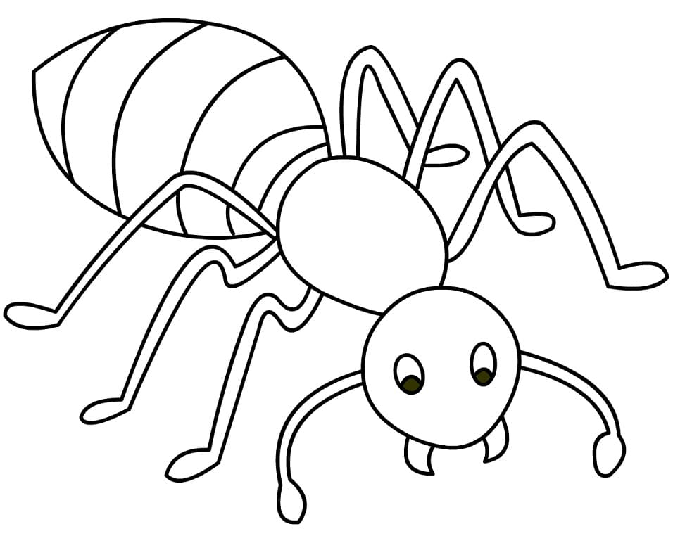 Dibujo gratuito Hormiga #196491 de la coleccion Animales para imprimir