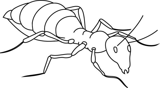 Dibujo para colorear: Hormiga (Animales) #6918 - Dibujos para Colorear e Imprimir Gratis