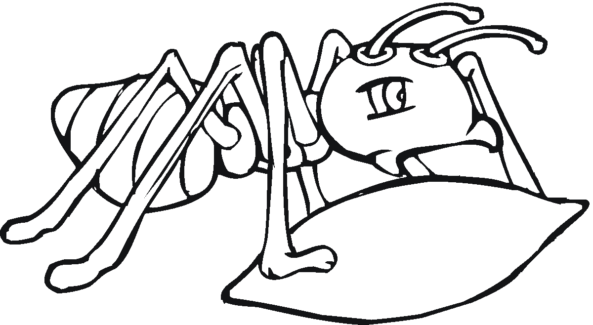 Dibujo para colorear: Hormiga (Animales) #6920 - Dibujos para Colorear e Imprimir Gratis