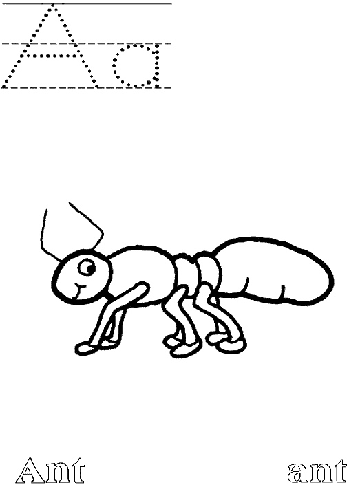 Dibujo para colorear: Hormiga (Animales) #6946 - Dibujos para Colorear e Imprimir Gratis