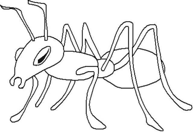 Dibujo para colorear: Hormiga (Animales) #6947 - Dibujos para Colorear e Imprimir Gratis