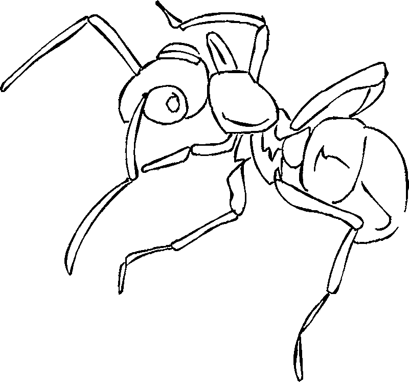 Dibujo para colorear: Hormiga (Animales) #6961 - Dibujos para Colorear e Imprimir Gratis