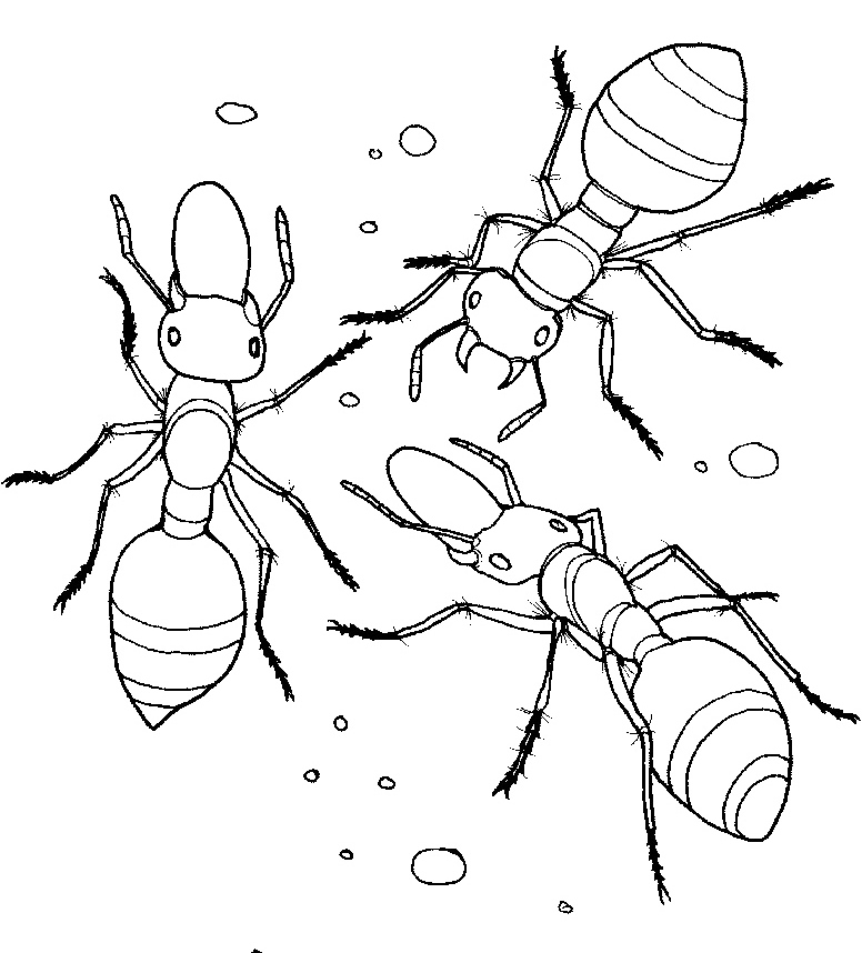 Dibujo para colorear: Hormiga (Animales) #6993 - Dibujos para Colorear e Imprimir Gratis
