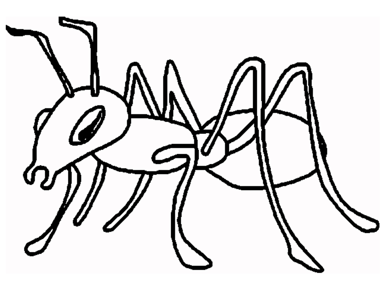 Dibujo para colorear: Hormiga (Animales) #7018 - Dibujos para Colorear e Imprimir Gratis