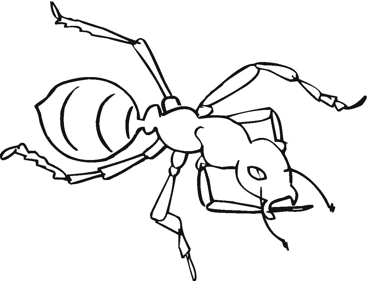 Dibujo para colorear: Hormiga (Animales) #7019 - Dibujos para Colorear e Imprimir Gratis