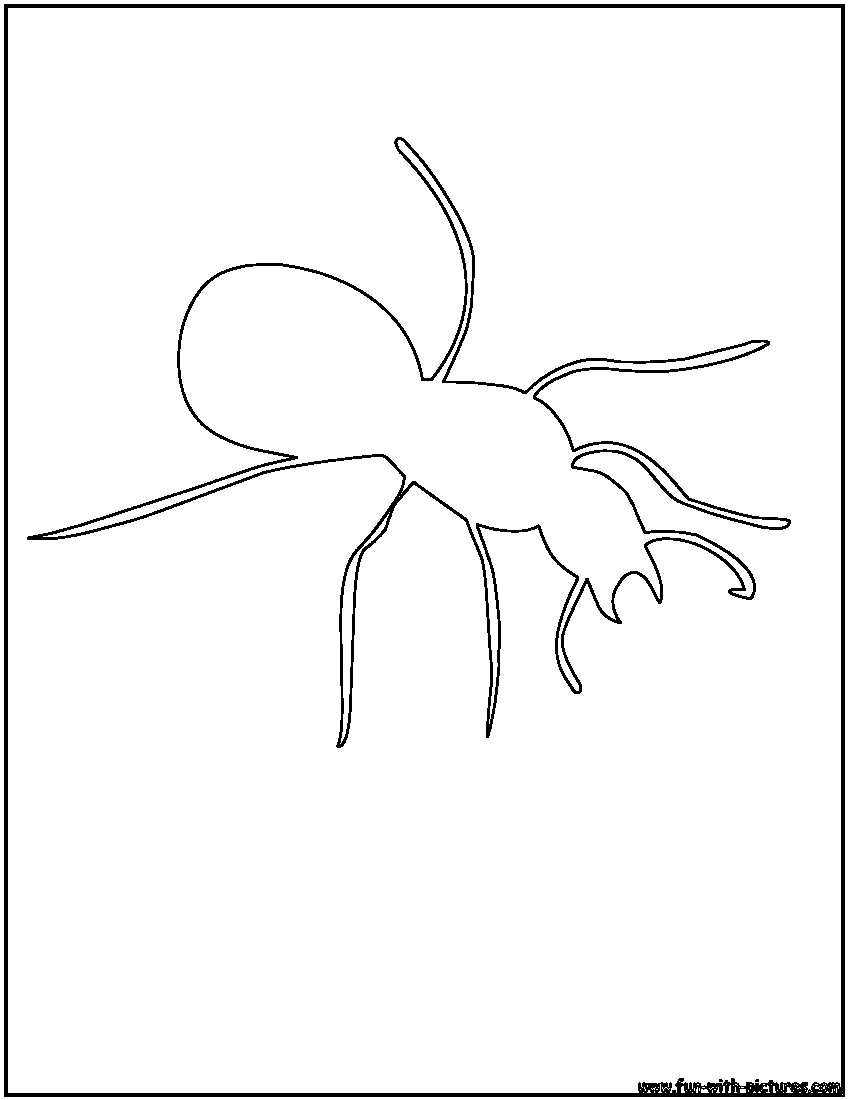Dibujo para colorear: Hormiga (Animales) #7094 - Dibujos para Colorear e Imprimir Gratis