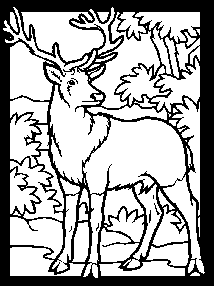 Dibujo para colorear: Hueva (Animales) #2571 - Dibujos para Colorear e Imprimir Gratis