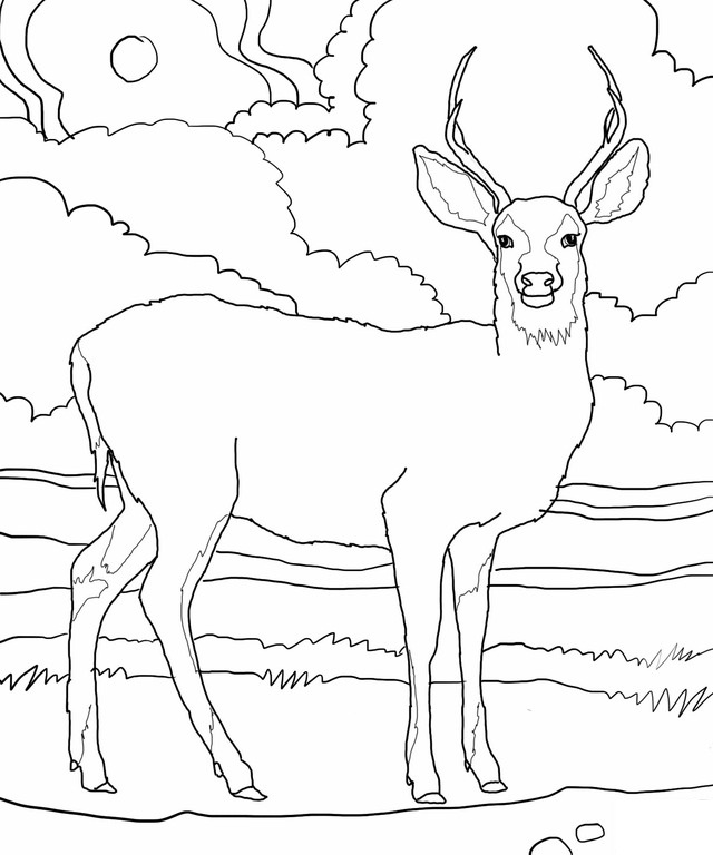 Dibujo para colorear: Hueva (Animales) #2576 - Dibujos para Colorear e Imprimir Gratis