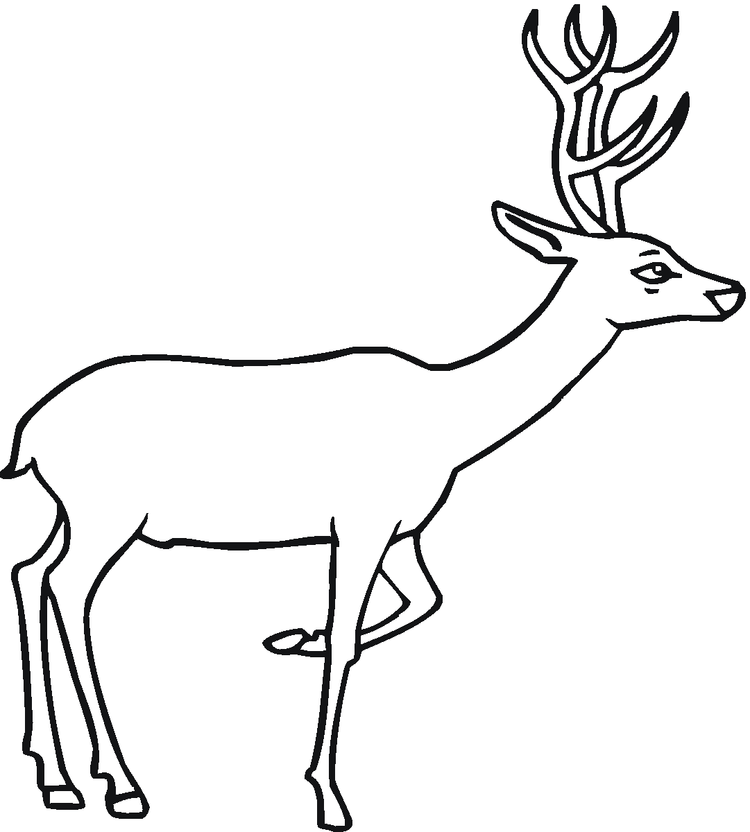 Dibujo para colorear: Hueva (Animales) #2589 - Dibujos para Colorear e Imprimir Gratis