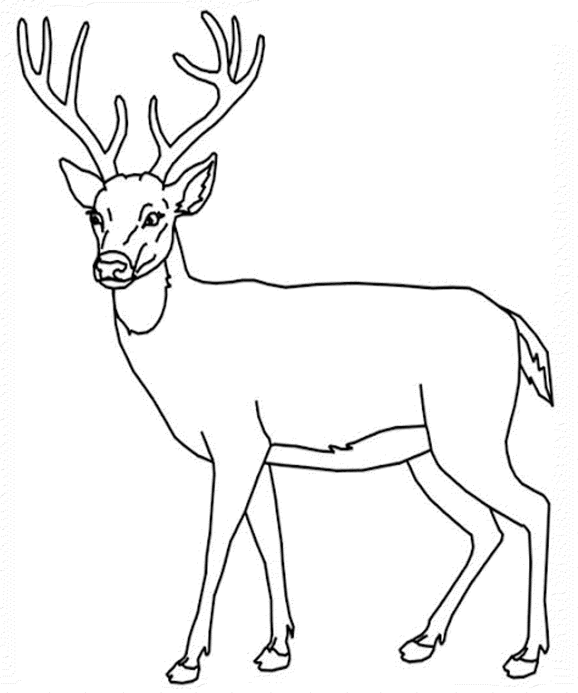 Dibujo para colorear: Hueva (Animales) #2594 - Dibujos para Colorear e Imprimir Gratis