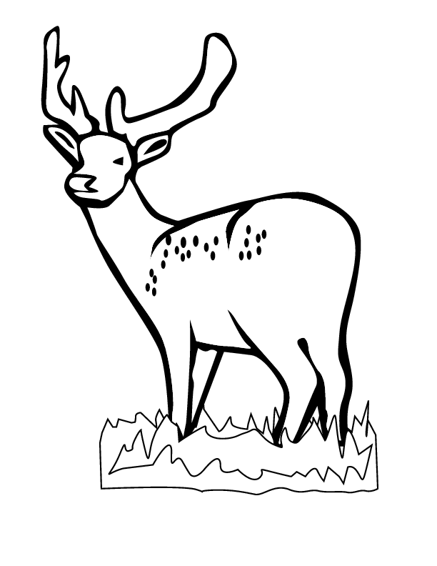 Dibujo para colorear: Hueva (Animales) #2595 - Dibujos para Colorear e Imprimir Gratis