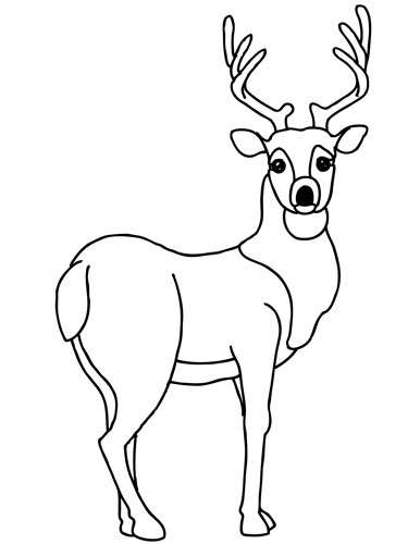 Dibujo para colorear: Hueva (Animales) #2603 - Dibujos para Colorear e Imprimir Gratis