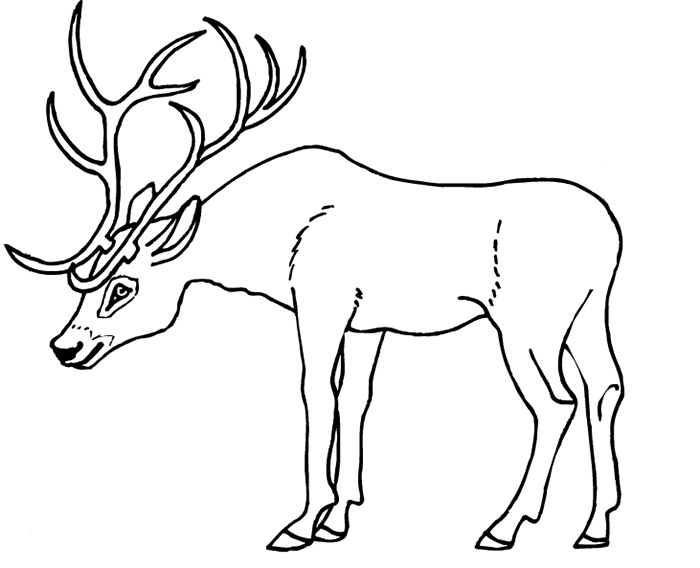 Dibujo para colorear: Hueva (Animales) #2626 - Dibujos para Colorear e Imprimir Gratis