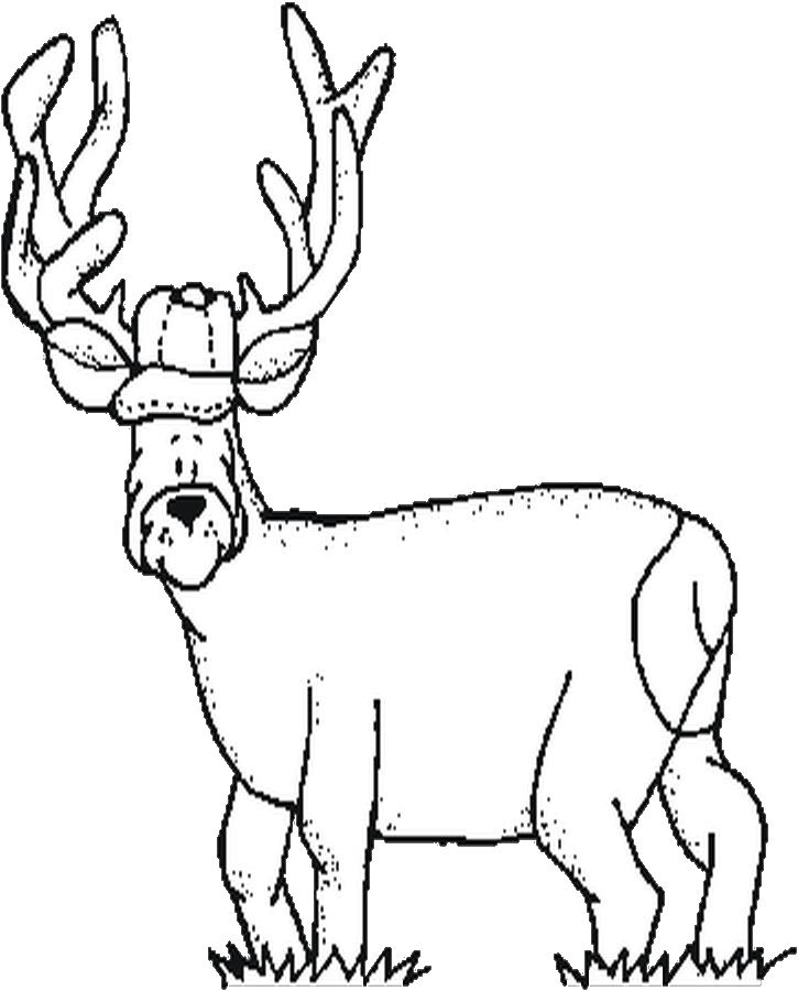 Dibujo para colorear: Hueva (Animales) #2634 - Dibujos para Colorear e Imprimir Gratis