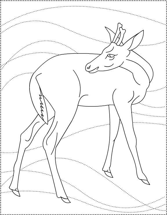 Dibujo para colorear: Hueva (Animales) #2685 - Dibujos para Colorear e Imprimir Gratis