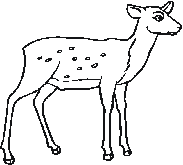 Dibujo para colorear: Hueva (Animales) #2689 - Dibujos para Colorear e Imprimir Gratis
