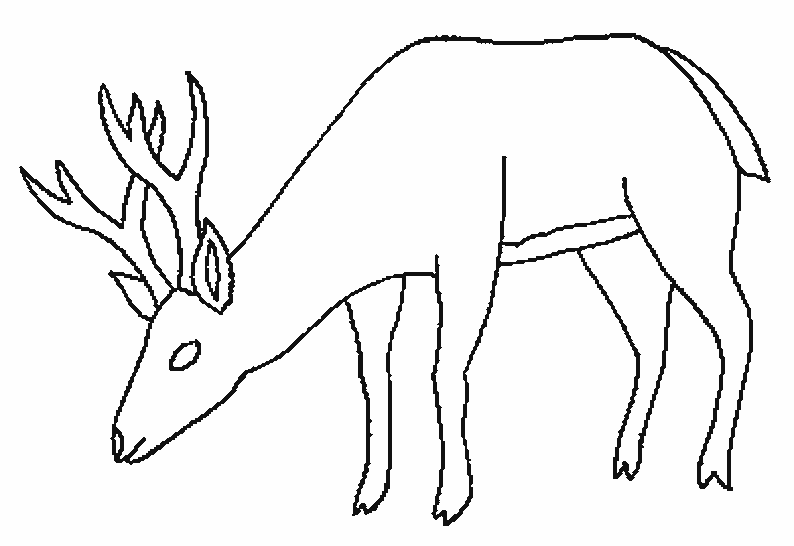 Dibujo para colorear: Hueva (Animales) #2732 - Dibujos para Colorear e Imprimir Gratis