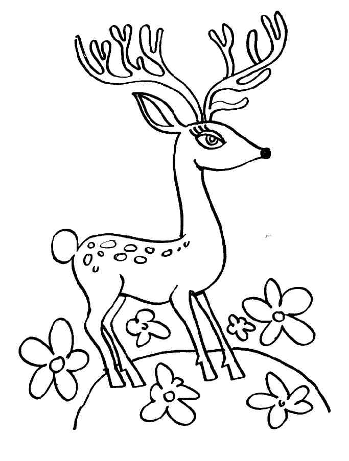 Dibujo para colorear: Hueva (Animales) #2745 - Dibujos para Colorear e Imprimir Gratis