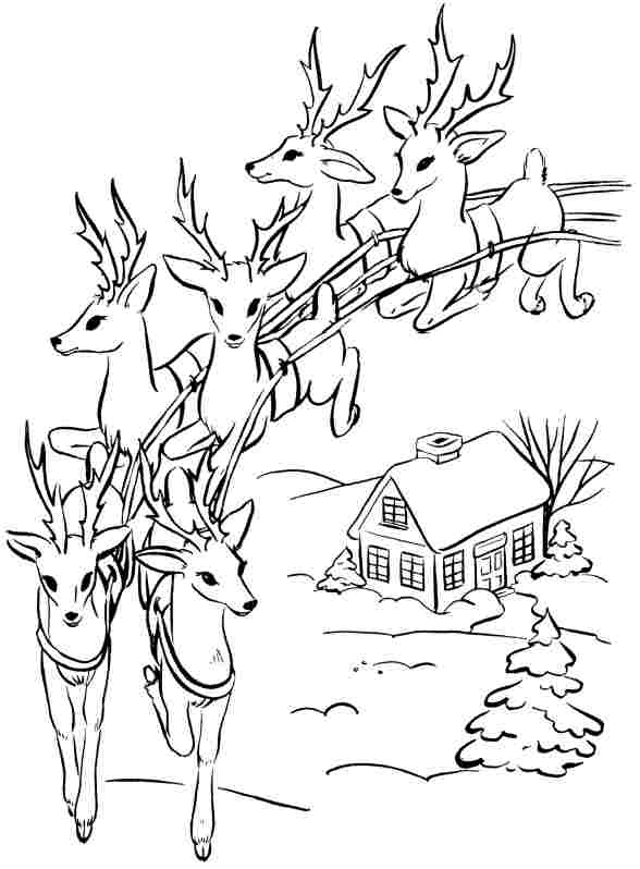 Dibujo para colorear: Hueva (Animales) #2748 - Dibujos para Colorear e Imprimir Gratis