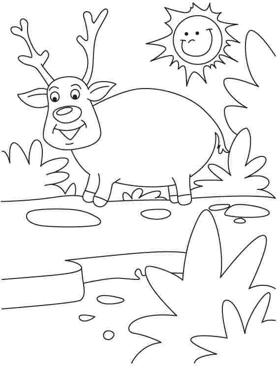Dibujo para colorear: Hueva (Animales) #2758 - Dibujos para Colorear e Imprimir Gratis