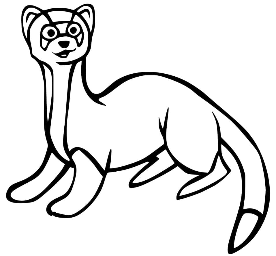 Dibujo gratuito Hurón #205417 de la coleccion Animales para imprimir Dibujo gratuito Hurón #205417 de la coleccion Animales para imprimir