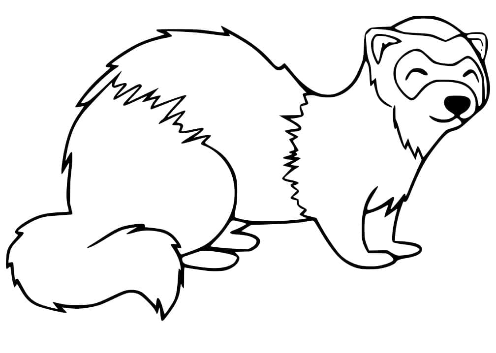 Dibujo gratuito Hurón #205418 de la coleccion Animales para imprimir