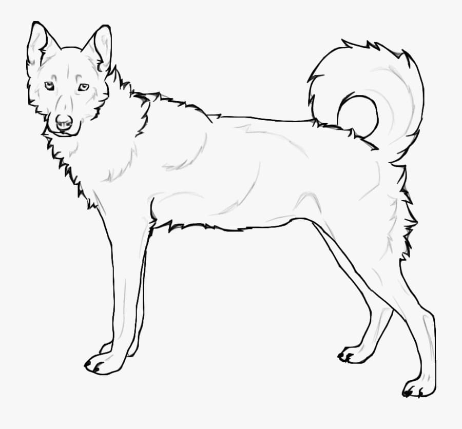 Dibujo gratuito Husky #189124 de la coleccion Animales para imprimir