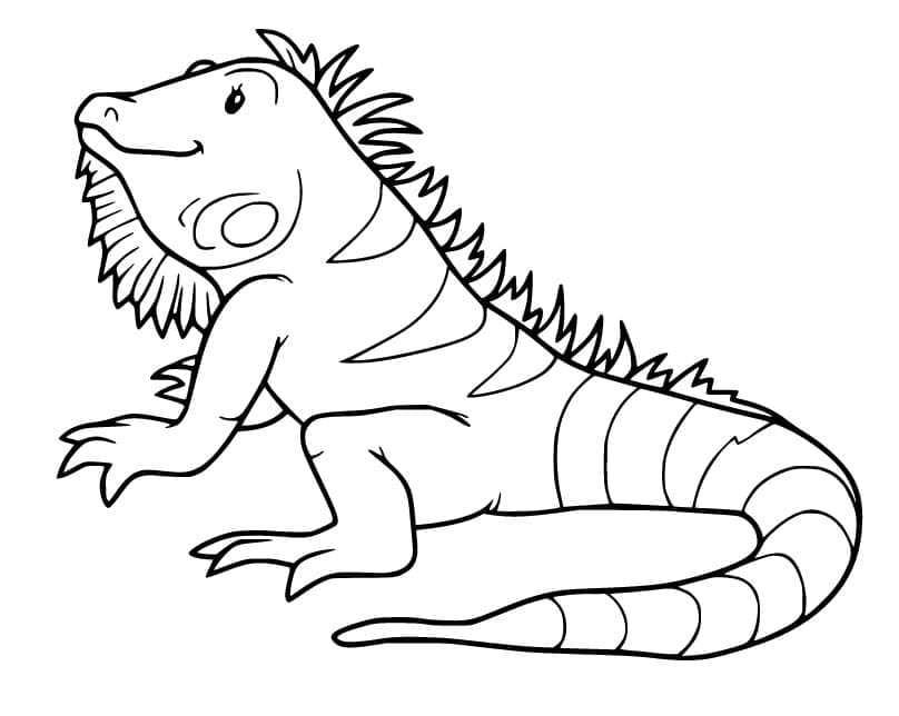 Dibujo gratuito Iguana #188794 de la coleccion Animales para imprimir