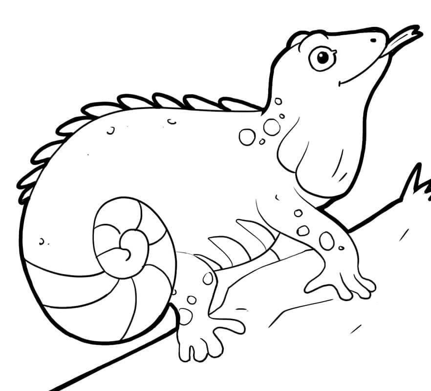 Dibujo gratuito Iguana #188796 de la coleccion Animales para imprimir