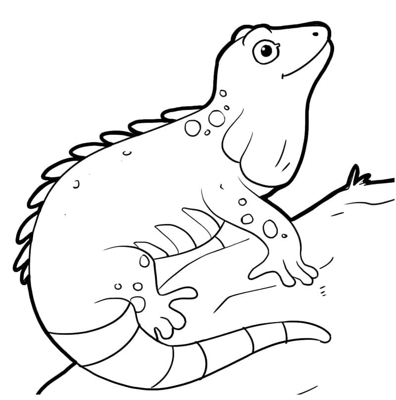 Dibujo gratuito Iguana #188800 de la coleccion Animales para imprimir Dibujo gratuito Iguana #188800 de la coleccion Animales para imprimir