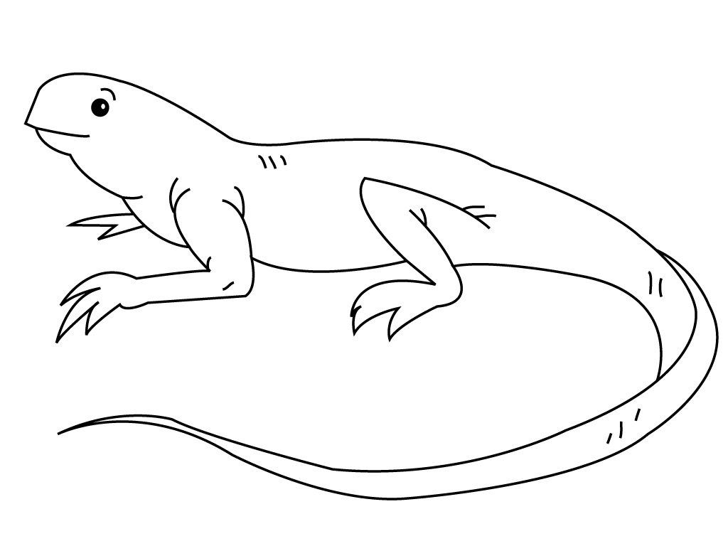 Dibujos de Iguana (Animales) para colorear y pintar – Páginas para imprimir