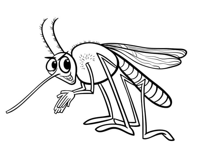 Dibujo gratuito Insecto #179743 de la coleccion Animales para imprimir