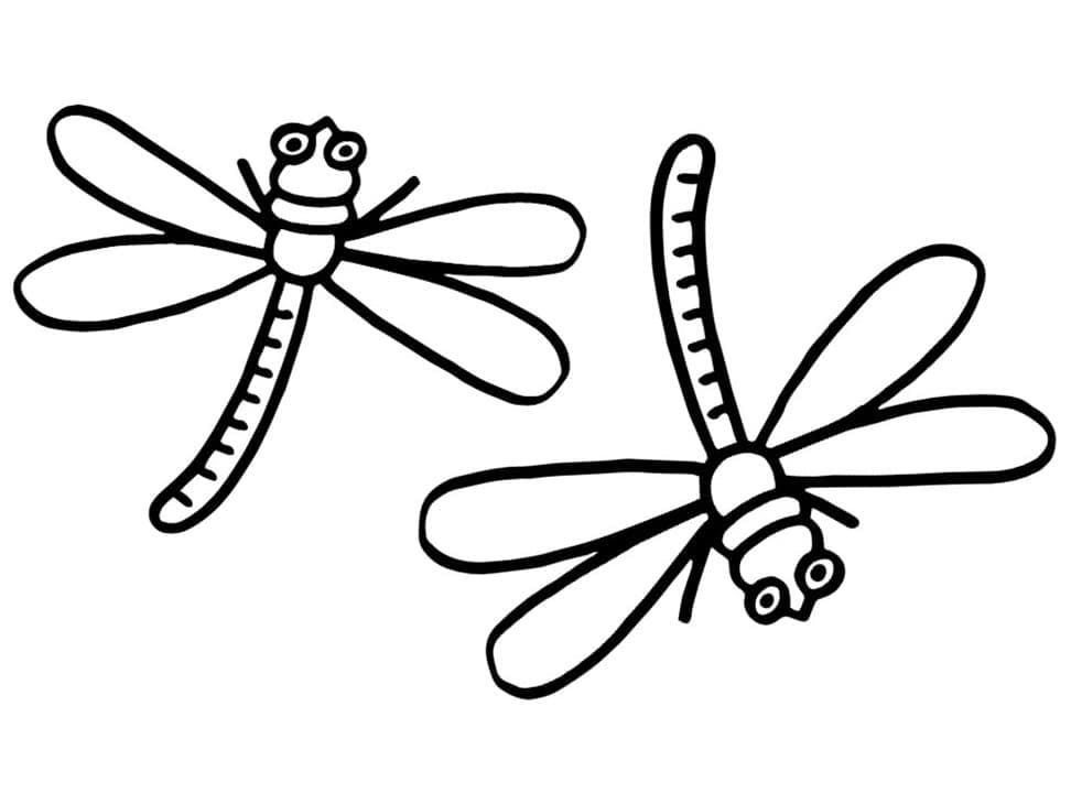 Dibujo gratuito Insecto #179761 de la coleccion Animales para imprimir