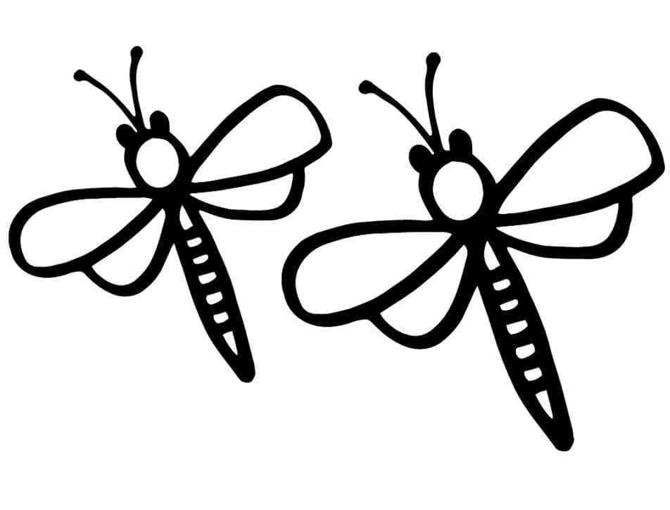 Dibujo gratuito Insecto #179763 de la coleccion Animales para imprimir