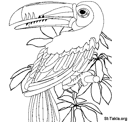 Dibujo para colorear: Ioro (Animales) #16121 - Dibujos para Colorear e Imprimir Gratis