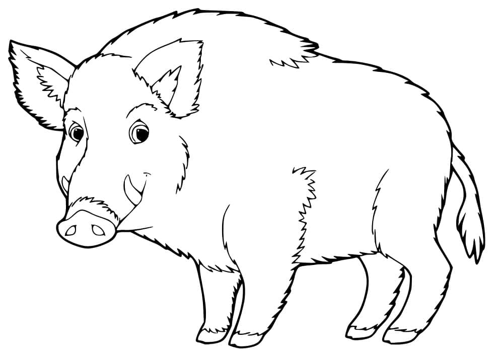 Dibujo gratuito Jabalí #205376 de la coleccion Animales para imprimir Dibujo gratuito Jabalí #205376 de la coleccion Animales para imprimir