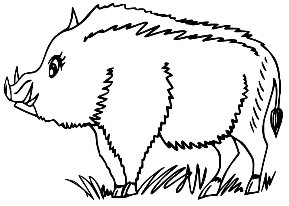 Dibujo gratuito Jabalí #205379 de la coleccion Animales para imprimir
