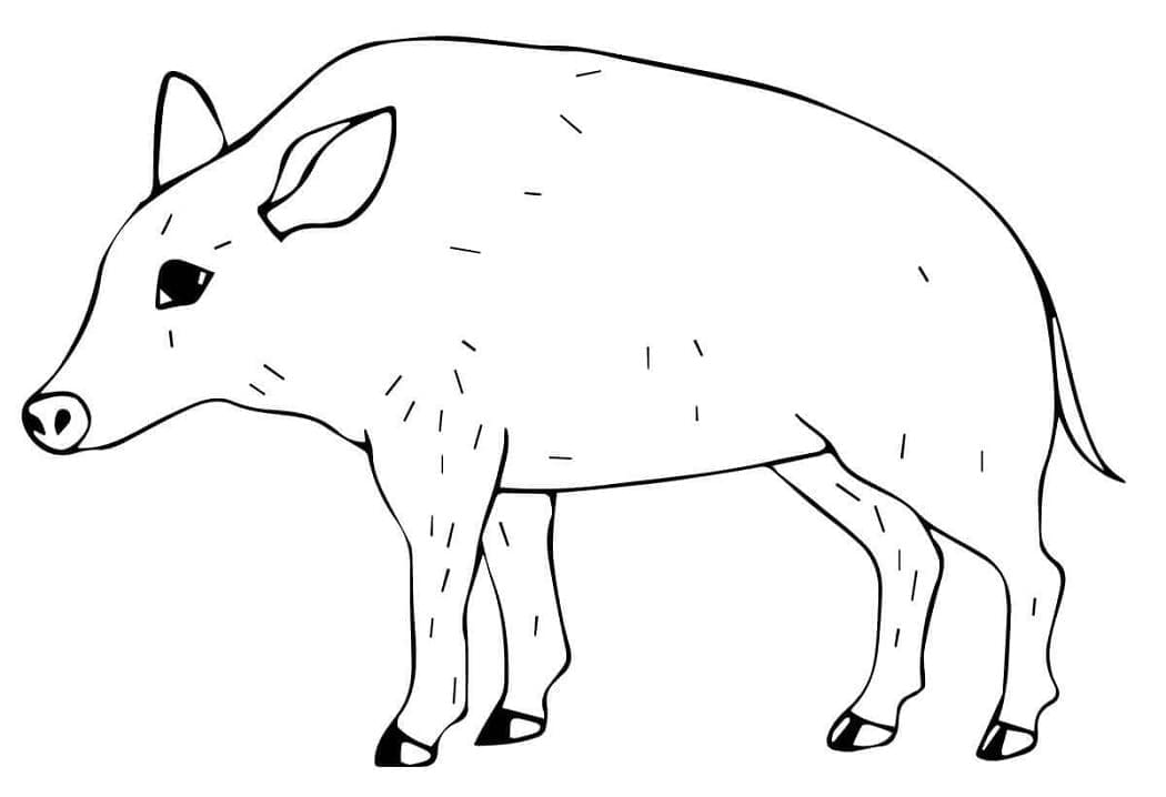 Dibujo gratuito Jabalí #205381 de la coleccion Animales para imprimir