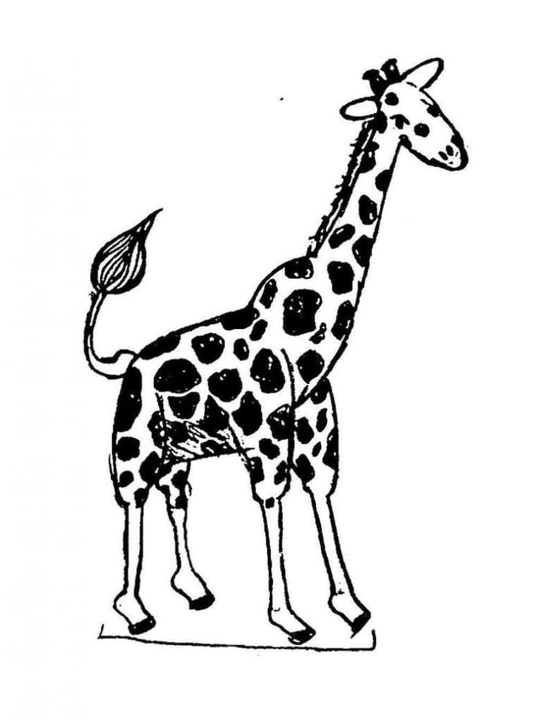 Dibujo gratuito Jirafa #177584 de la coleccion Animales para imprimir Dibujo gratuito Jirafa #177584 de la coleccion Animales para imprimir
