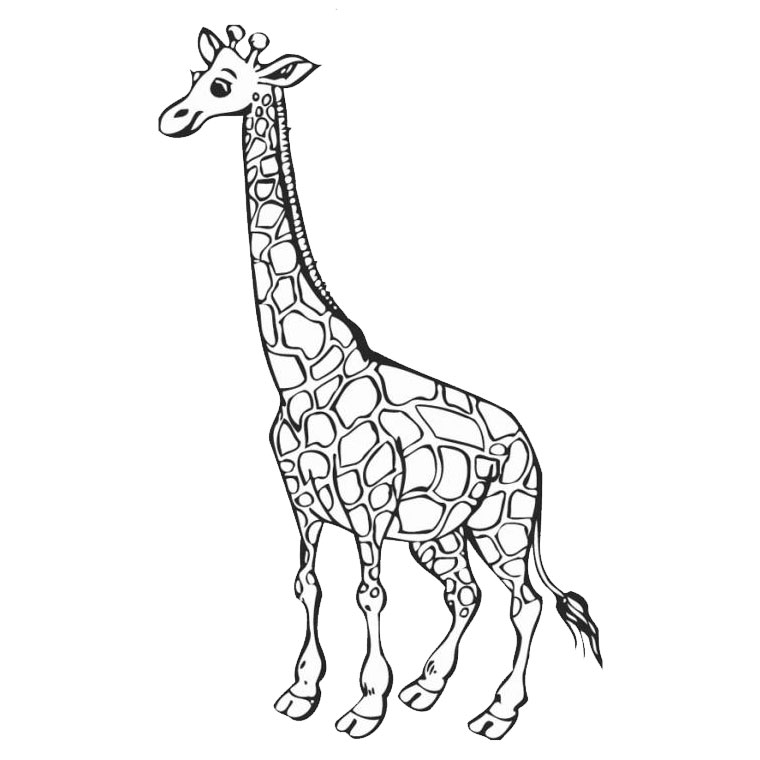 Dibujo para colorear: Jirafa (Animales) #7226 - Dibujos para Colorear e Imprimir Gratis