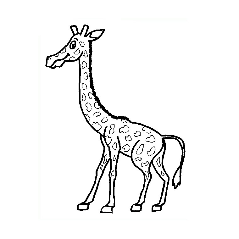 Dibujo para colorear: Jirafa (Animales) #7324 - Dibujos para Colorear e Imprimir Gratis