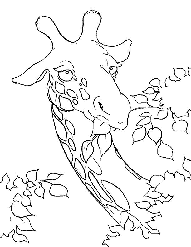 Dibujo para colorear: Jirafa (Animales) #7325 - Dibujos para Colorear e Imprimir Gratis