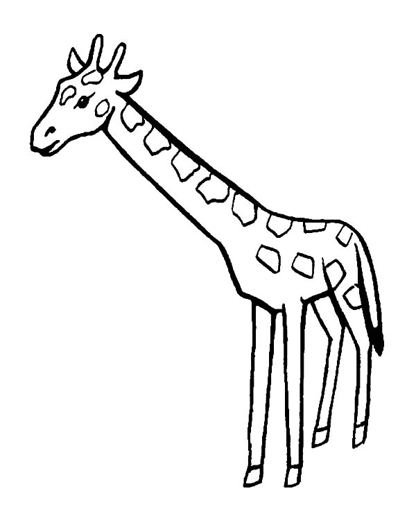 Dibujo para colorear: Jirafa (Animales) #7351 - Dibujos para Colorear e Imprimir Gratis